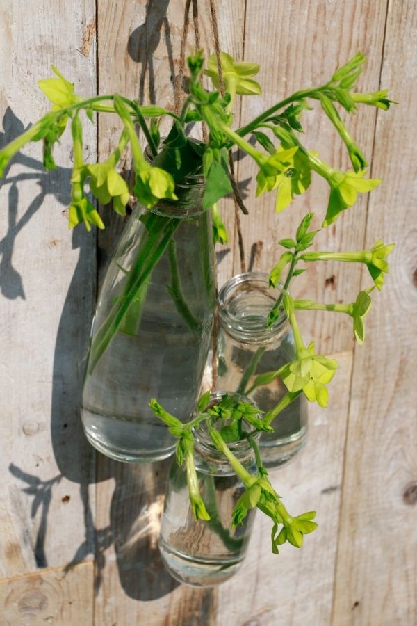 Glass Milk Bottle 250ml 140x60mm - 24 pcs