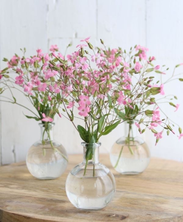 Glass Belly Bottle 100x80mm - 24 pcs