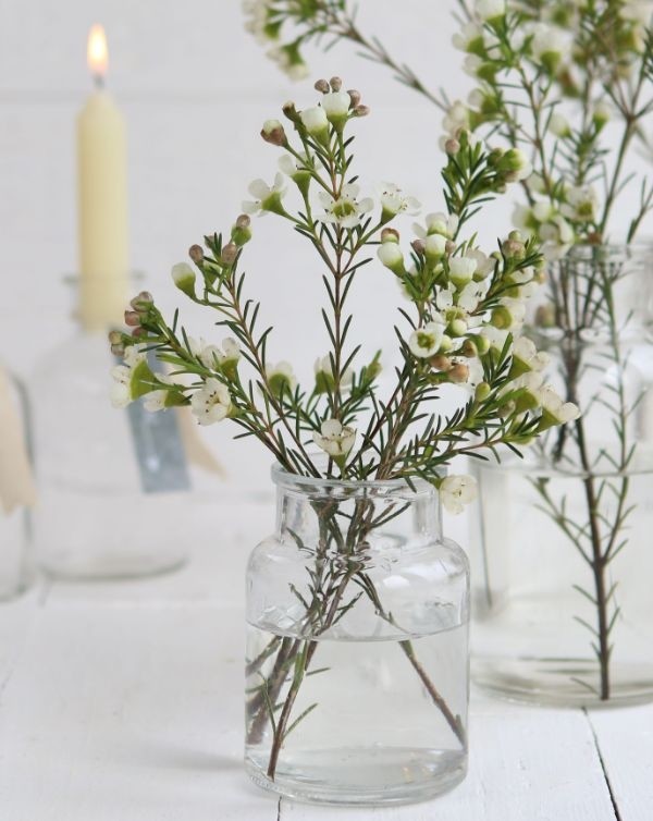 Glass Medicine bottle 100x70mm - 24 pcs