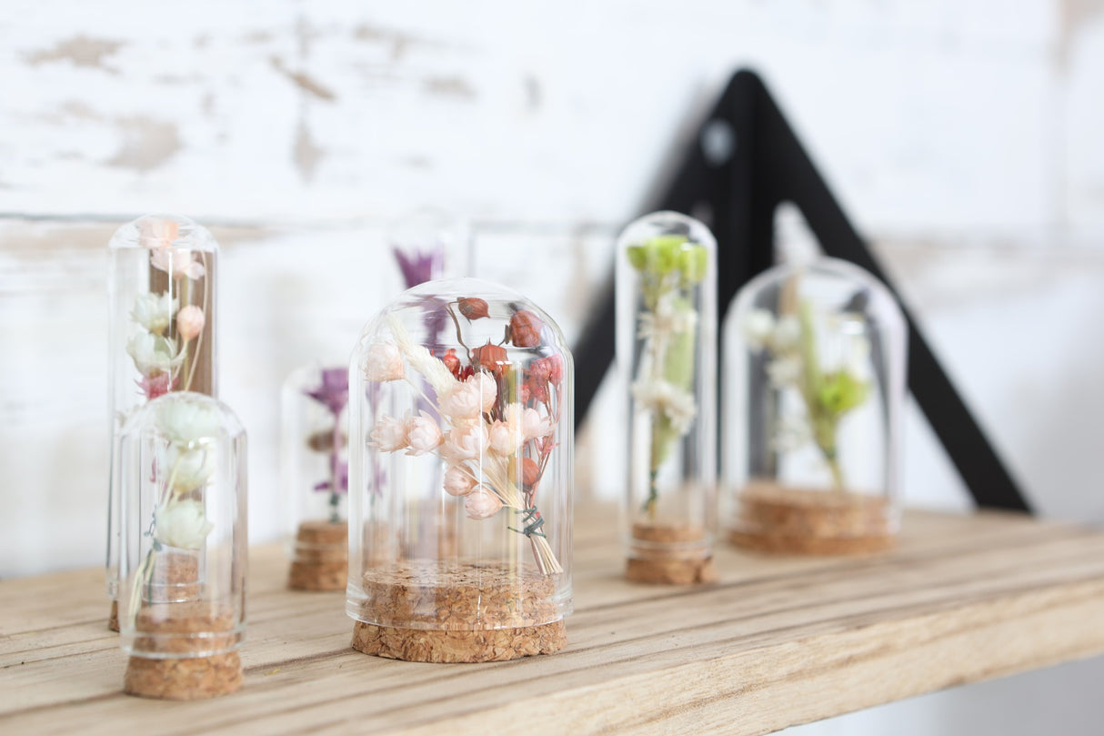 Glass mini Domes Ø2cm and 7cm high with cork - 12 pcs