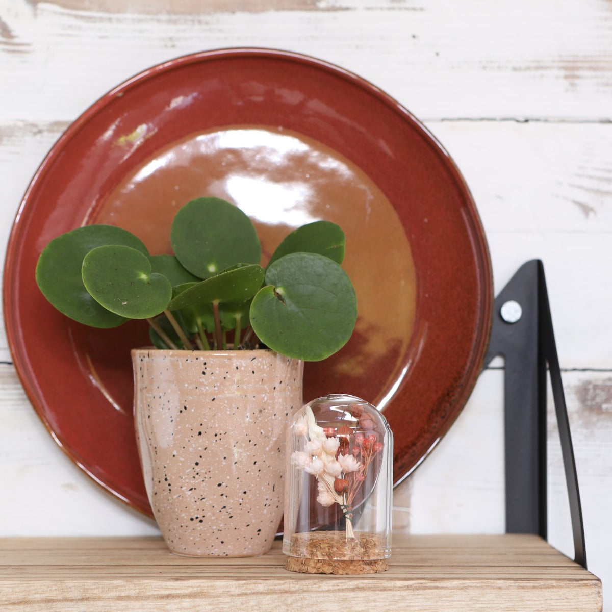Glass mini Domes Ø4cm and 6cm high with cork - 6 pcs