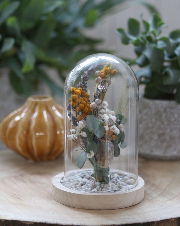 Glass Dome with Wooden Base 120x160mm - 1 pc