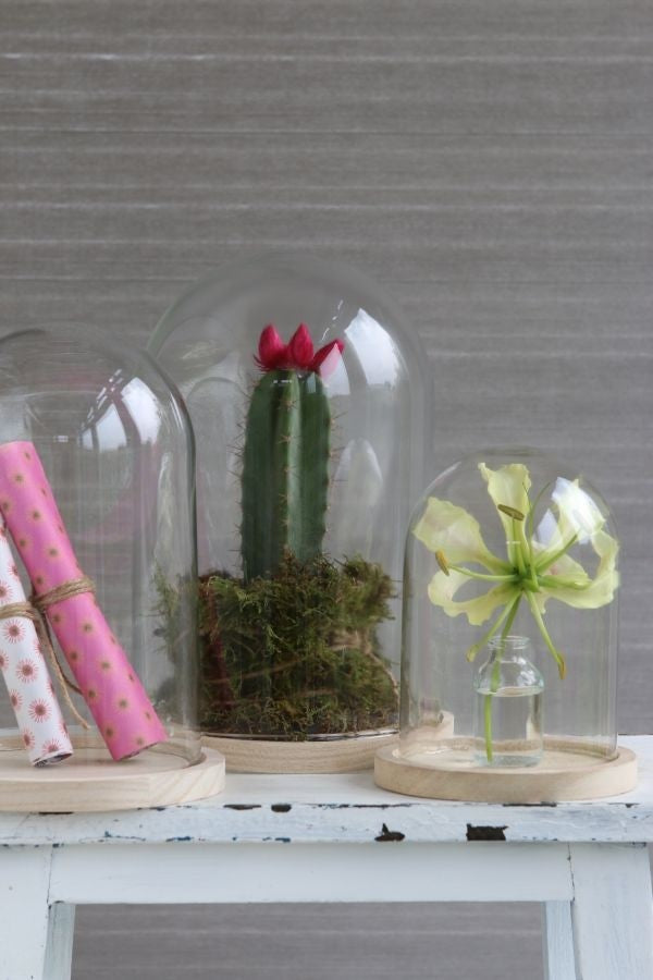 Glass Dome with Wooden Base 170x250mm - 1 pc