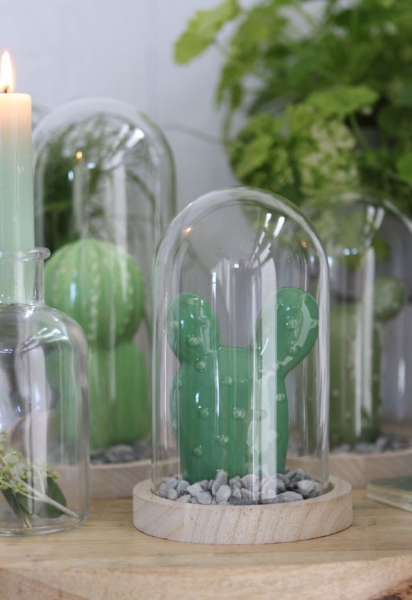 Glass Dome with Wooden Base 100x150mm - 1 pc