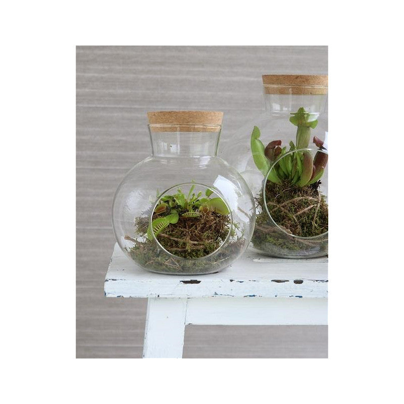 Glass Sphere with Cork Ø14 h.15 cm - 1 pcs