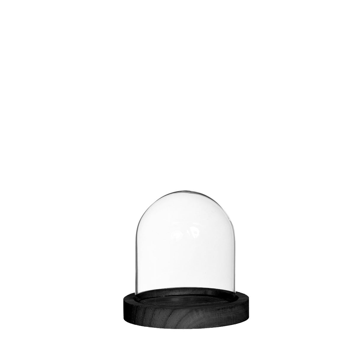 Glass bell jar with black wooden base Ø10cm H. 10 cm