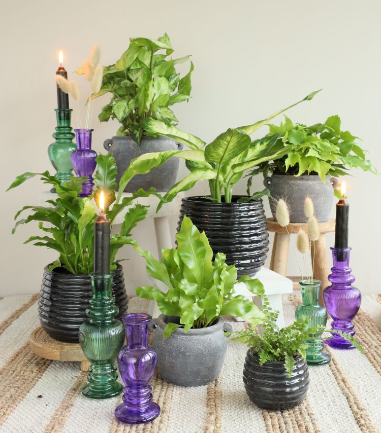 Vase Venice Green H: 155 x Ø57 mm - 12 Pcs