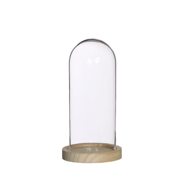 Glass Dome with Wooden Base 100x200mm