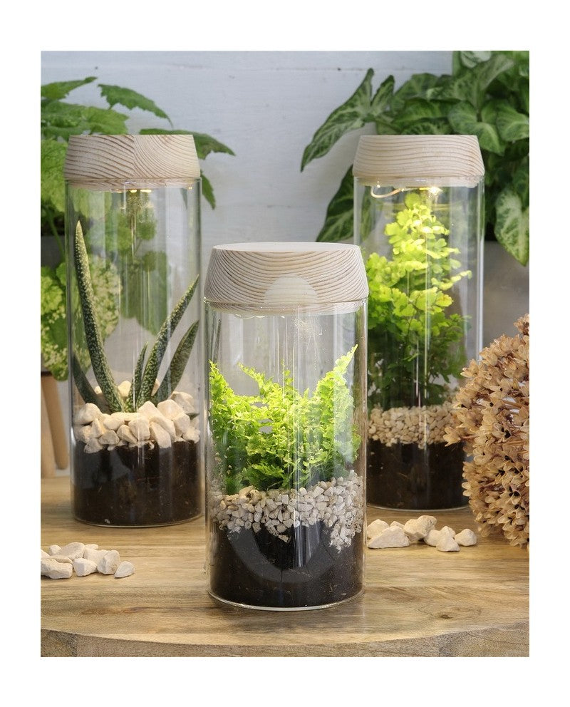 Test tube Ø80 h: 180 mm w. solar cork lid - 1 pc