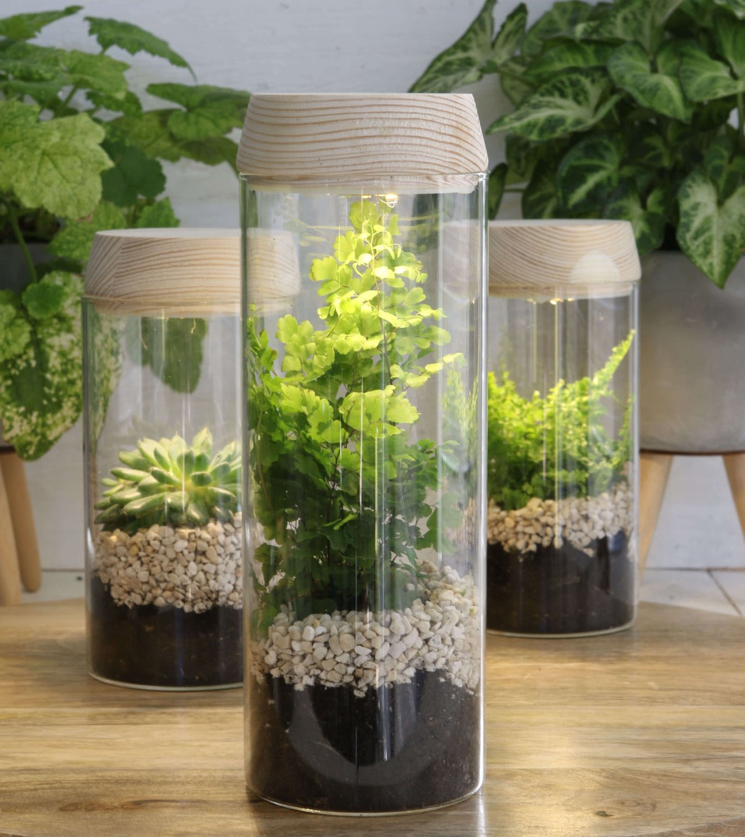 Glass cylinder with LED in wooden lid 18cm high - 1 pc