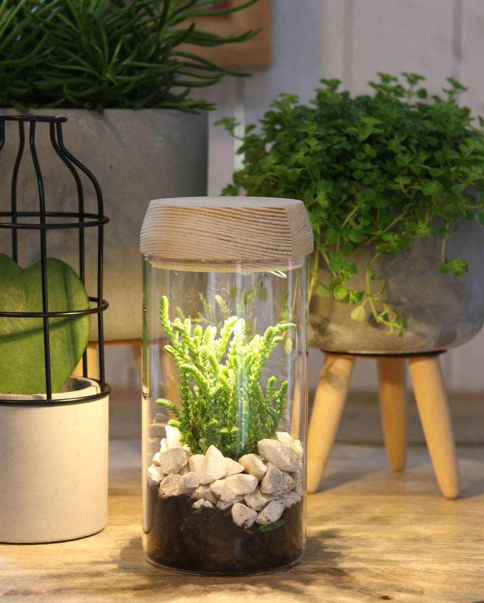 Glass cylinder with LED in wooden lid 18cm high - 1 pc