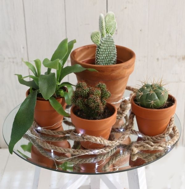 Mirror Plate Round Ø30cm bevelled Edge - 1 pc