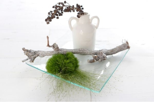 Glass Plate Square 25x25x2cm thick - 1 pc