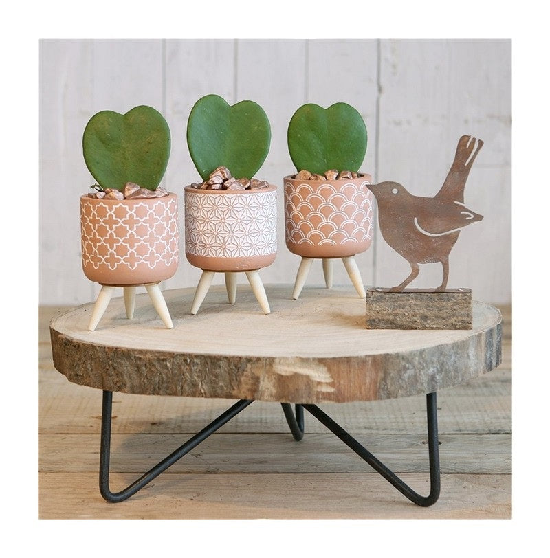 Plant pot Terra cement with wooden legs 11cm high