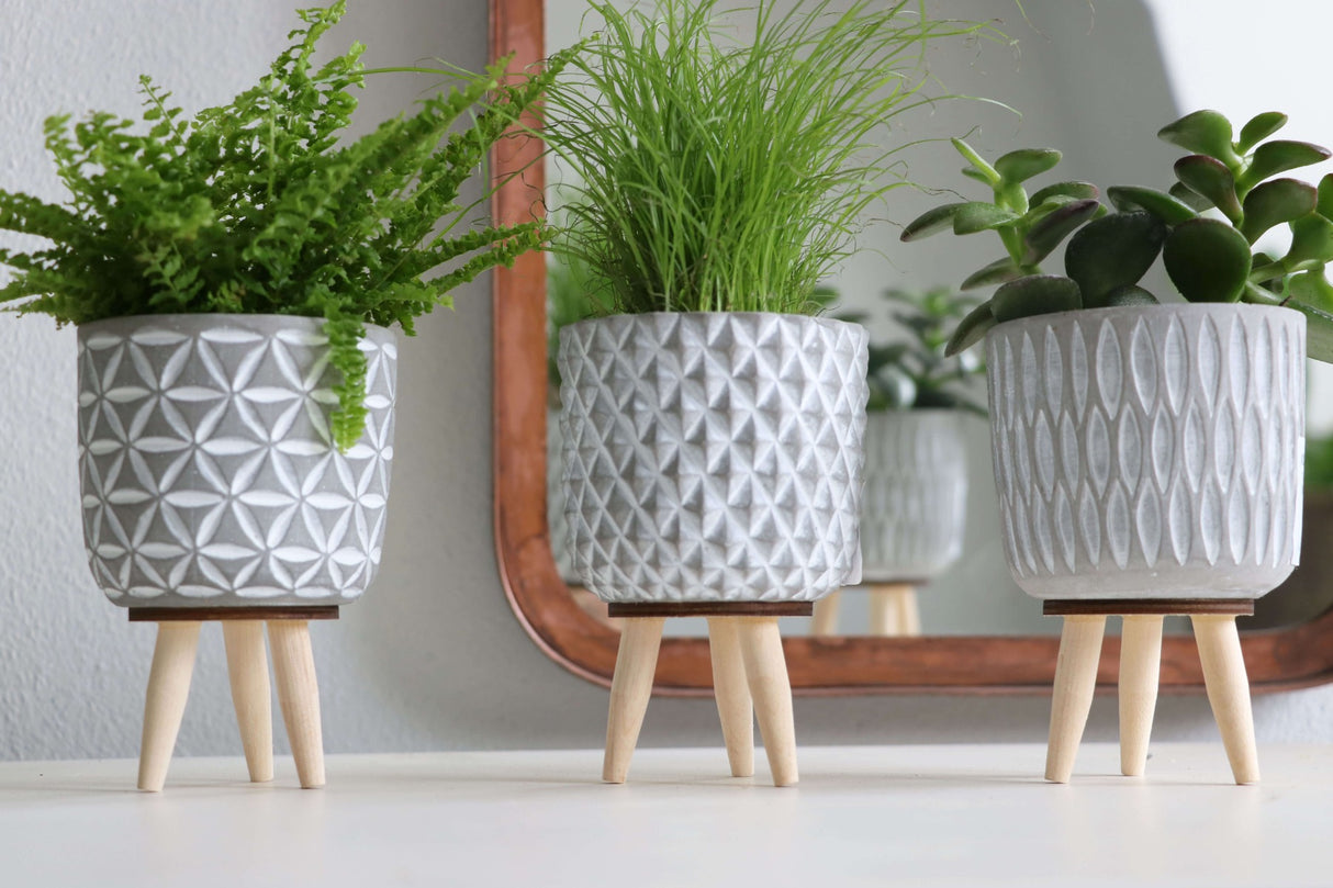 Plant pot Cement with wooden legs 11cm high - 6 pcs