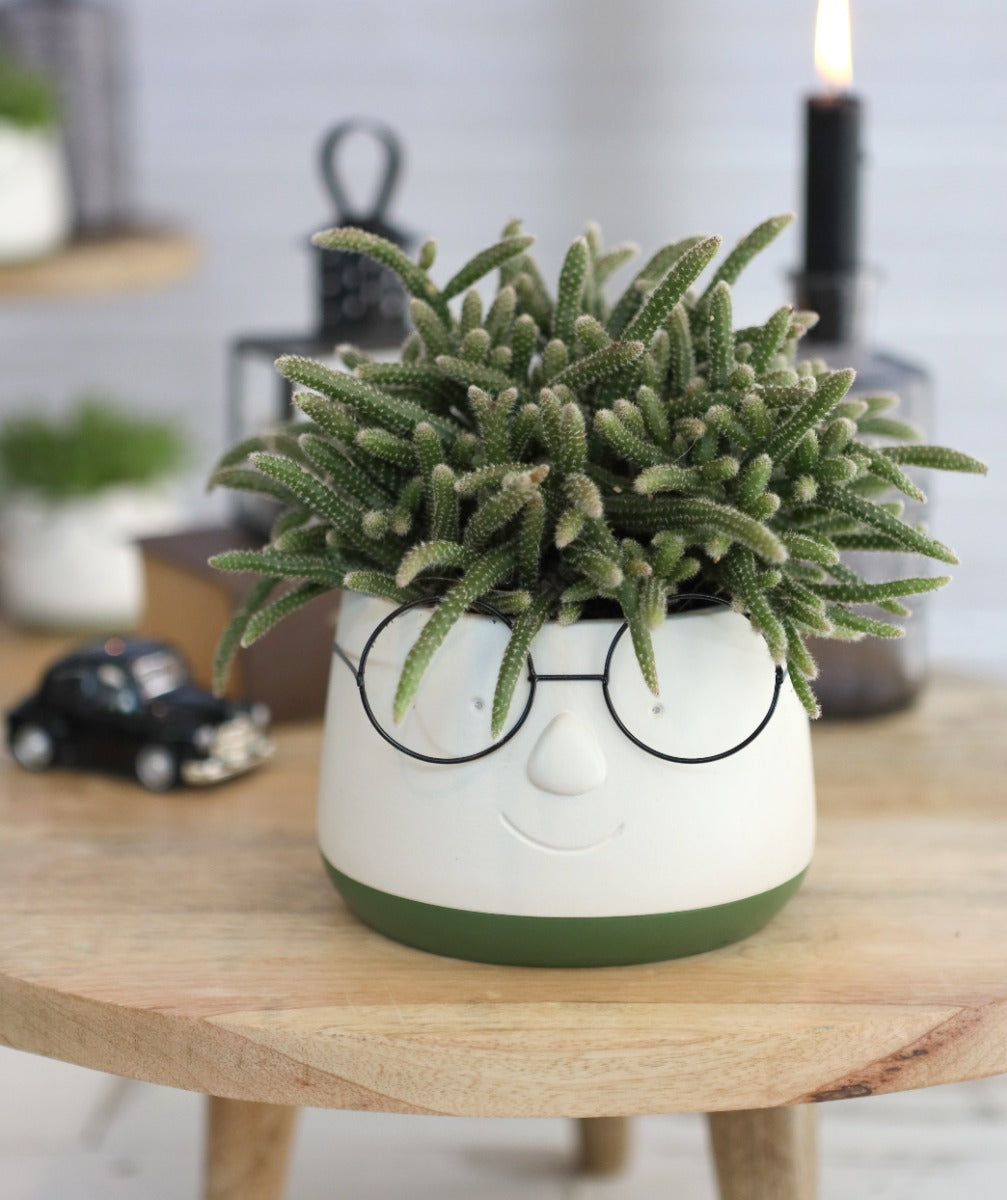 Pot with glasses Ø135 h: 105 mm - 6 Pcs