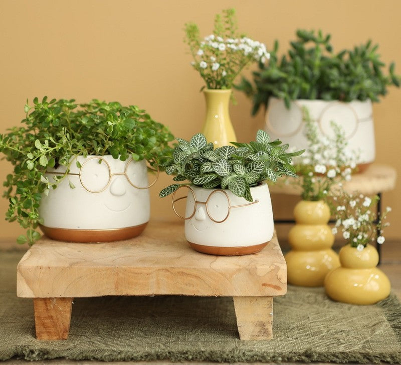 Pot with glasses Gold Ø120 h: 90 mm - 6 Pcs