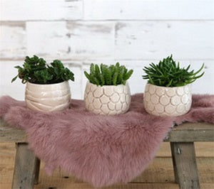 Plant pot Mila craquele glaze Cream ø7cm high - 9 pcs