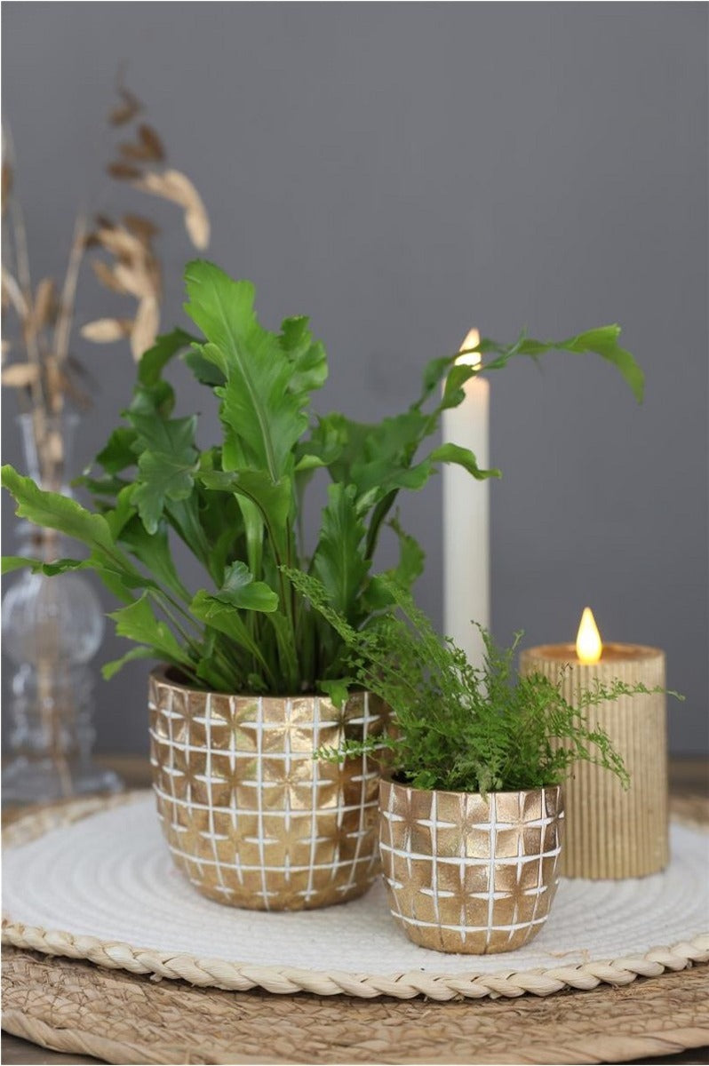 Hanoi pot Ø75 x h:64 mm Gold - 6 Pcs