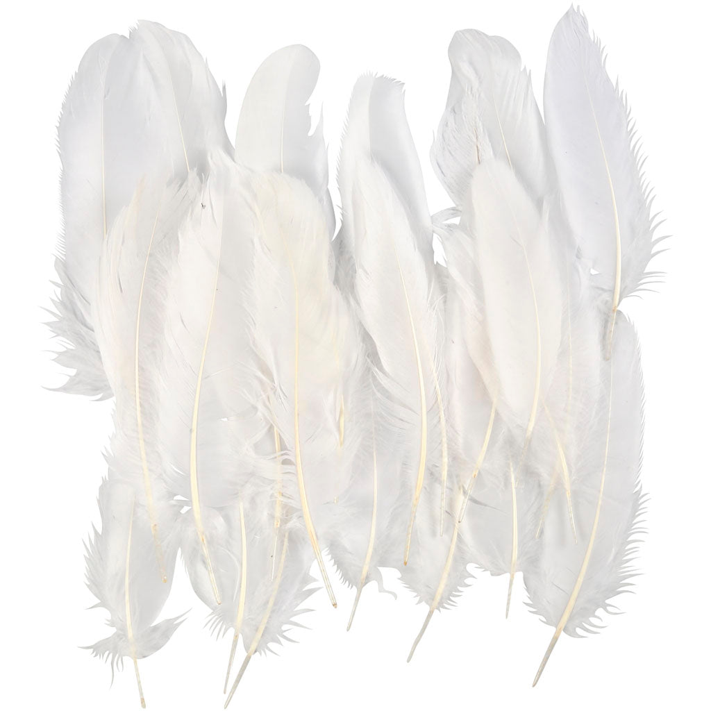 Feathers, approx. 15 cm, white - 350 pcs