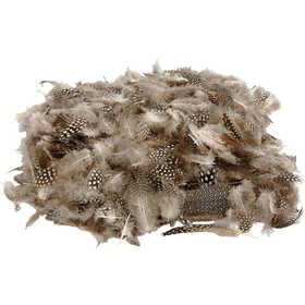 Guinea fowl feathers, natural, 50 gr - 1 pack
