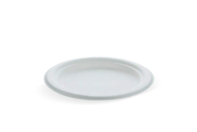 Plate Sugarcane Ø175 mm - 1.000 pcs