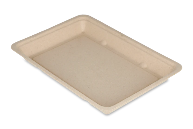 Snack Tray Sugarcane 132x20x192 mm