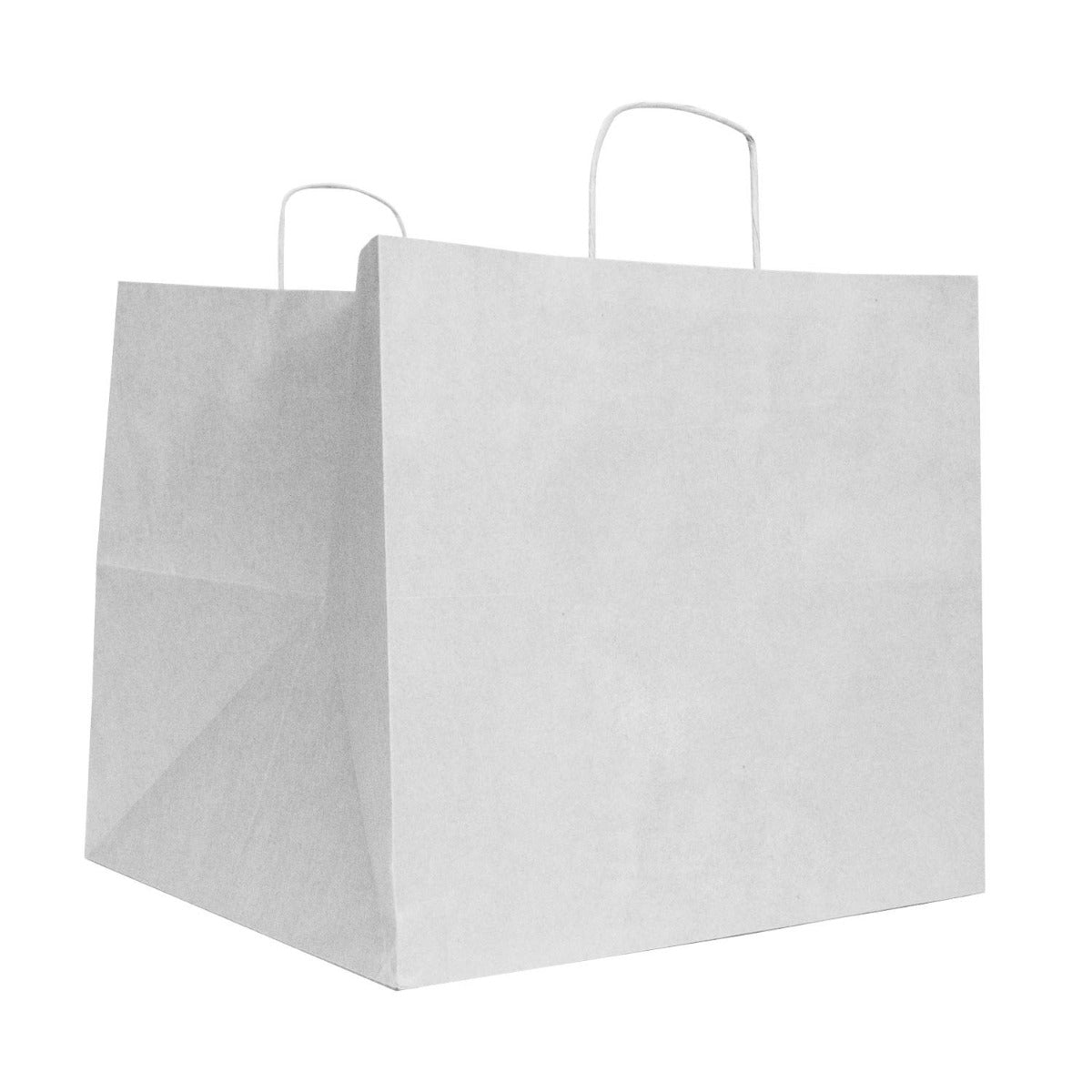 Record carrier Bags 33+33x33cm White