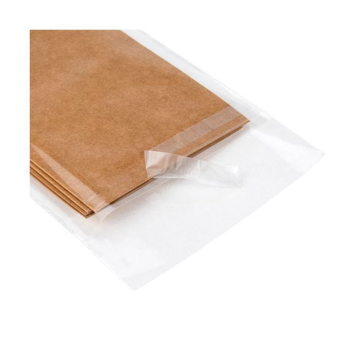 Eco-Friendly Bioplastic Clear Bags 108x137 mm Protective Closure - 100 pcs