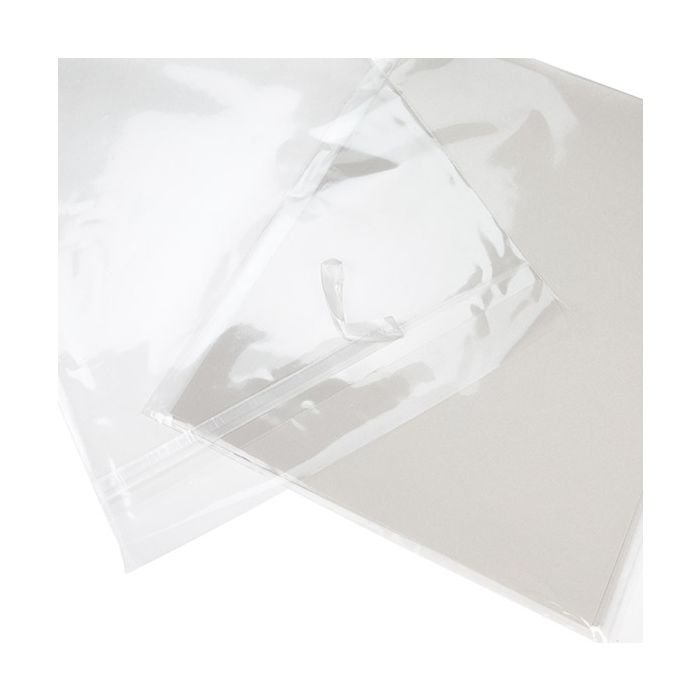 Eco-Friendly Bioplastic Clear Bags 240x311 mm Protective Closure - 100 pcs