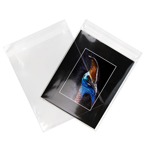 Eco Friendly Bags Bioplastic 214x260mm - 100 pcs