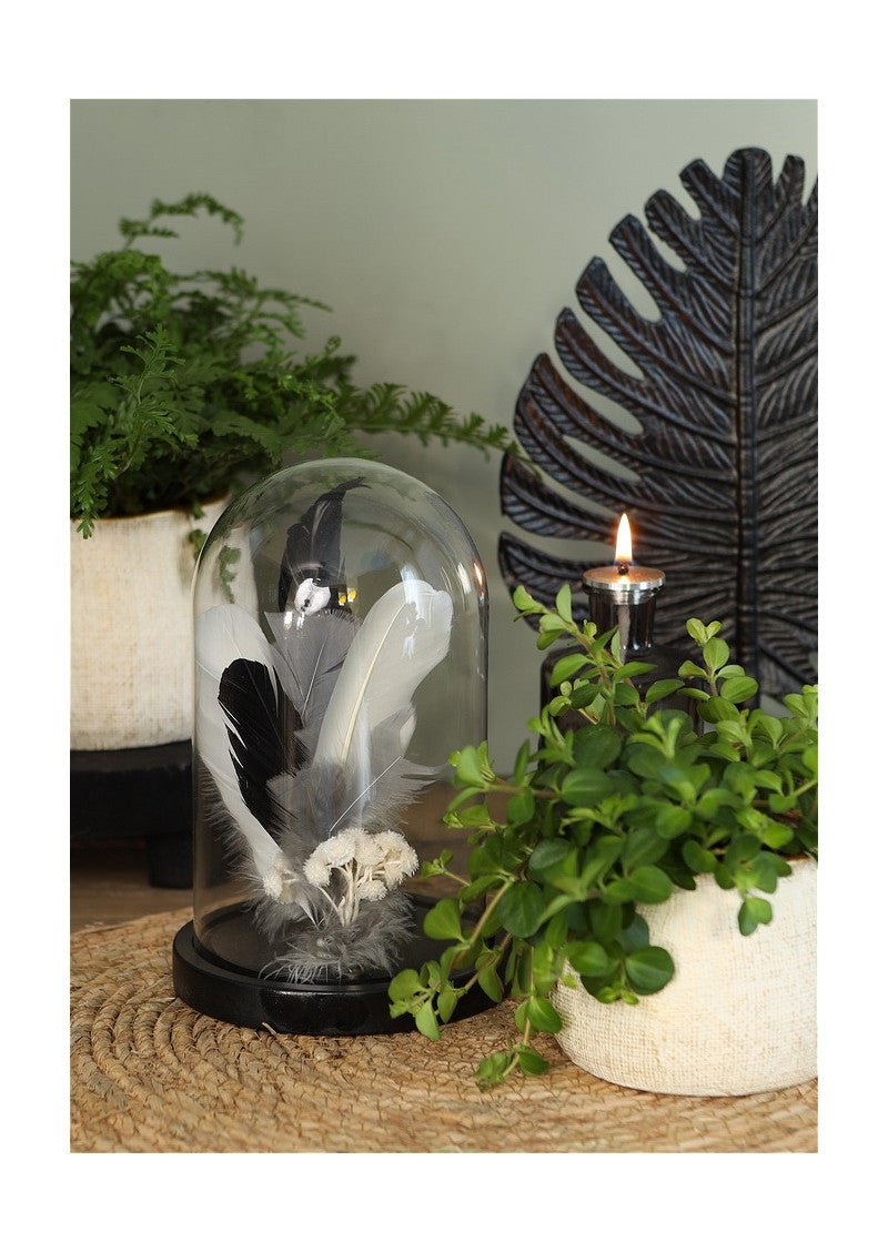 Glass Dome with black wooden base Ø14cm H.21cm -1 pc