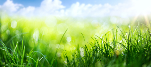 What does the term ‘sustainable’ mean?