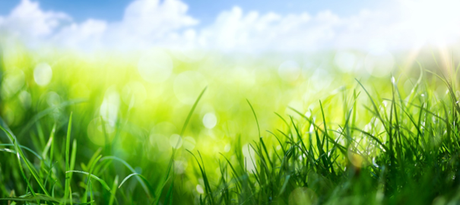 What does the term ‘sustainable’ mean?