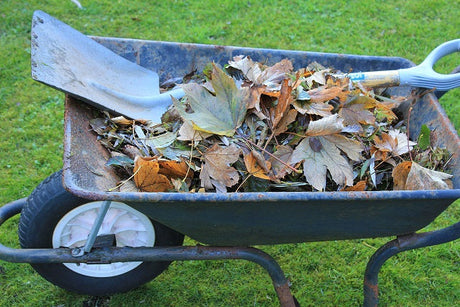 Bioplastics and waste