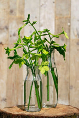 Glass Milk Bottle 250ml 140x60mm - 24 pcs