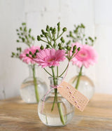 Glass Belly Bottle 100x80mm - 24 pcs