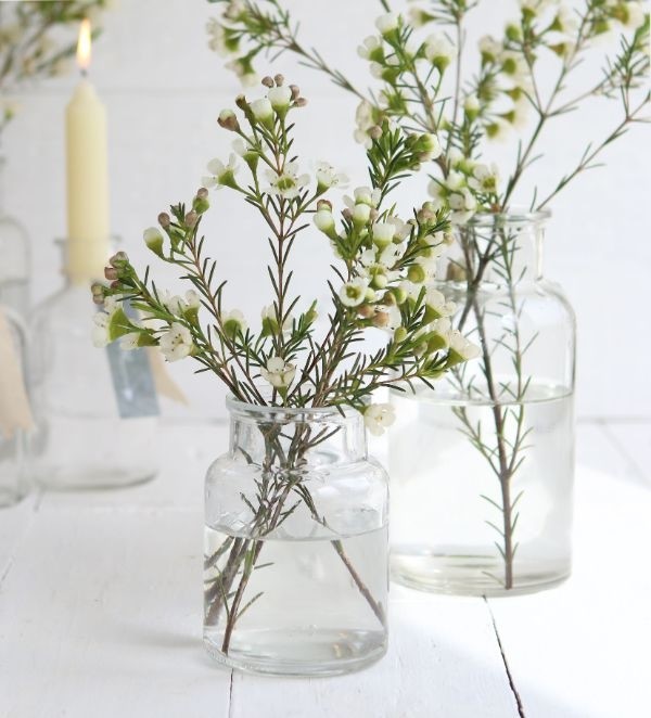 Glass Medicine bottle 100x70mm - 24 pcs