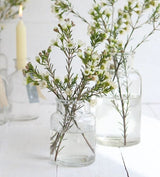 Glass Medicine bottle 100x70mm - 24 pcs