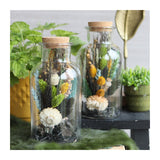 Glass medicine bottle 200x100mm - 6 pcs