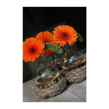 Ball Vase Ø6.6cm 16cm - 27 pcs
