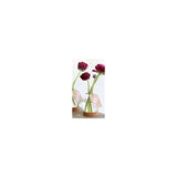 Ball Vase Ø8cm x 16cm - 14 pcs