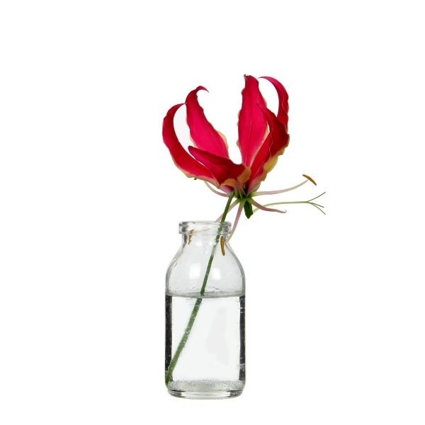 Glass bottle 100ml 105x50mm - 32 pcs
