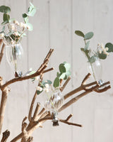 Vases on clip Ø4cm assorted of 3 vases - 3 set