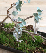 Vases on clip Ø4cm assorted of 3 vases - 3 set