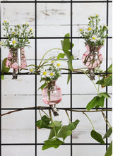 Vases on clip assorted of 3 pieces Pink (1 pcs.) [IFS-28094]