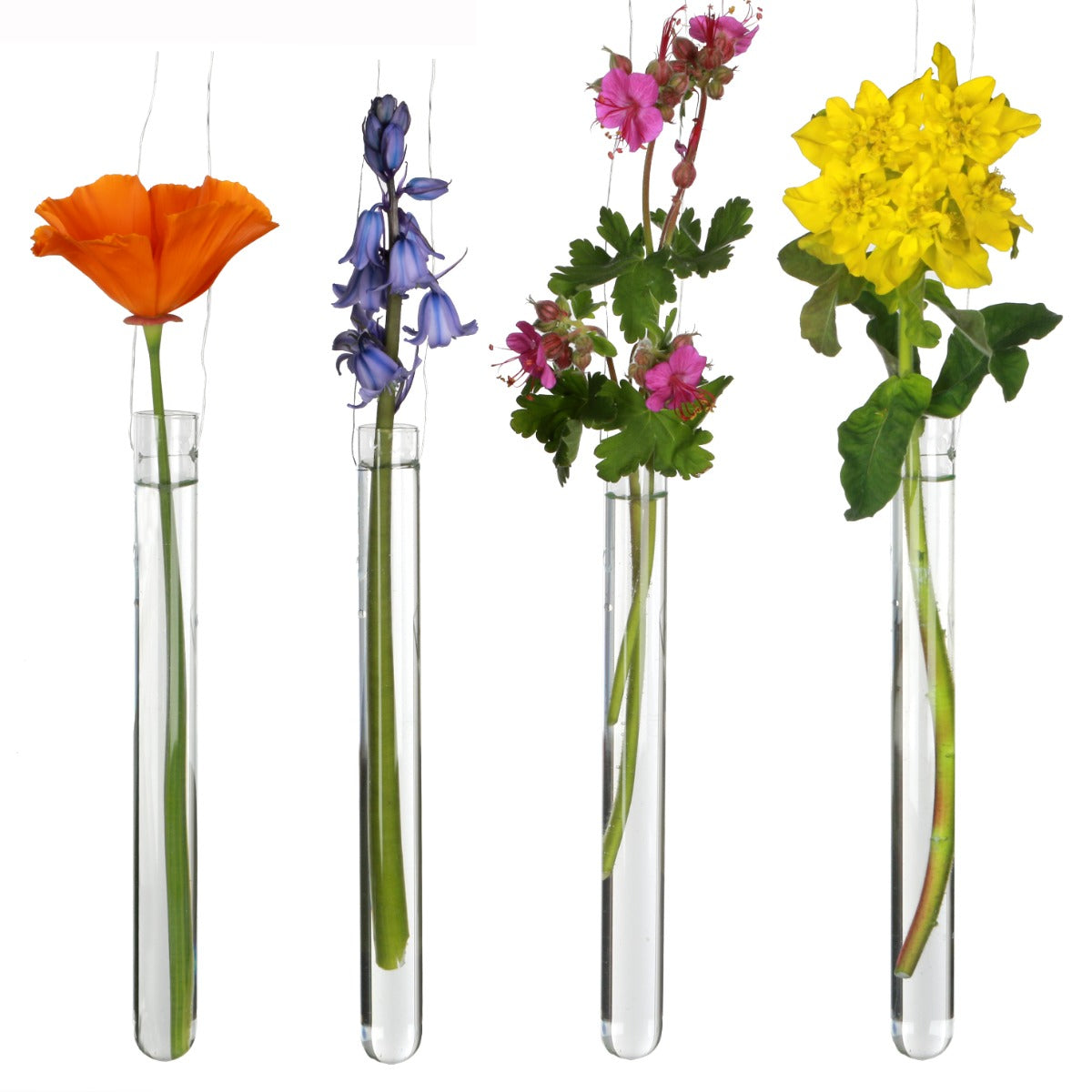 Glass Test tube 2cm diameter 20cm high, with 2 holes - 12 pcs
