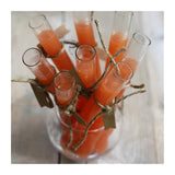 Test Tube w. Ring Ø2.5 h.20cm - 12 pcs