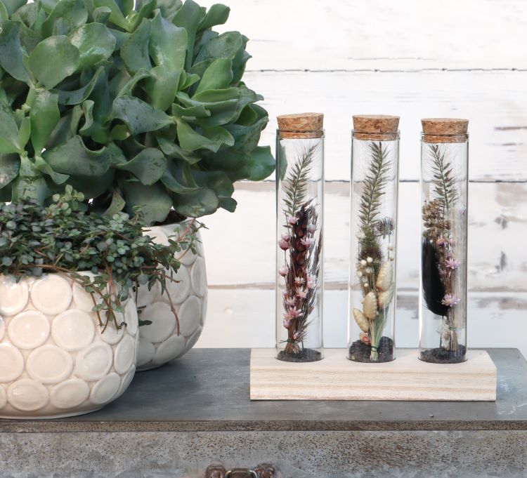 Glass tubes Ø3cm 3 tubes on wooden board (12 pcs.) [IFS-29148]