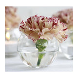 Glass Ball Pot Ø10 h.8cm - 6 pcs
